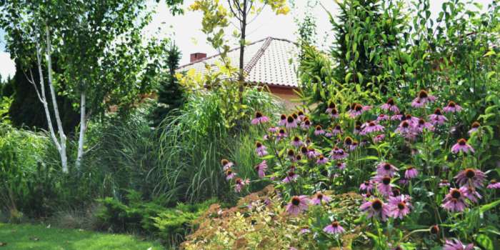 zahradni architekt praha, atelier zahradni architektury praha, navrh zahrady